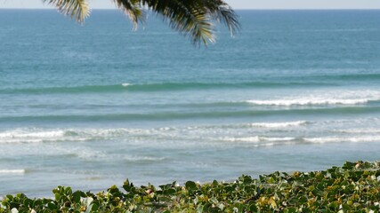 Pacific ocean tide, California tropical beach resort vibes, USA. Sea waves foam, green exotic palm...