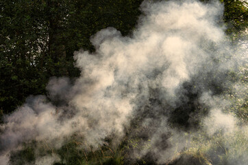 Smoke from a rural fire blows away by the wind in the summer closeup