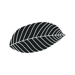 leaf icon on white background. nature sign. vector illustration