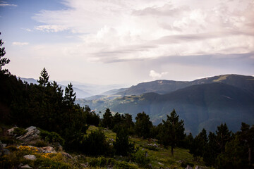Summer landscape in La Cerdanya, Pyrenees, Spain