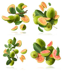 Fresh ripe guava falling in the air. Zero gravity concept