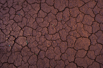 Dry land, nature and environment.