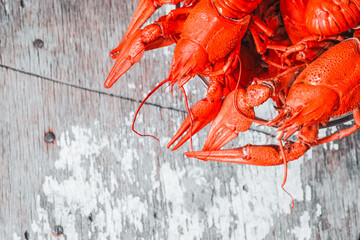 Hot delicious crayfish with a plate on rustic background. Delicious red boiled crayfishes on table, closeup. Banner design