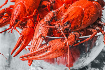 Hot delicious crayfish with a plate on rustic background. Delicious red boiled crayfishes on table, closeup. Banner design