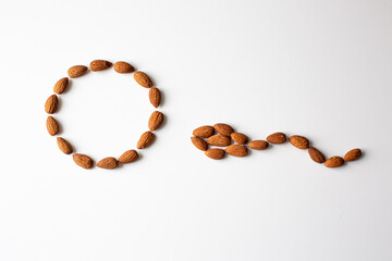 Almonds in the form of an egg and spermotazoid on a white background. Almonds are useful for reproductive function