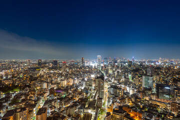 Obraz premium 東京風景