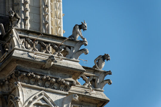 Close up of gargoyles of Notre Dame on blue sky backgrouns in Paris, France