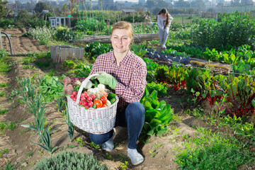 Positive woman farmer holding wicker basket full of freshly harvested vegetables on a farm field on a warm spring day