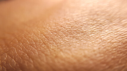 Macro of human skin texture. Woman or girl skin. Dermatology pattern of healthy brown caucasian...