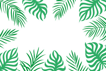 Palm leaves background with copy space on white