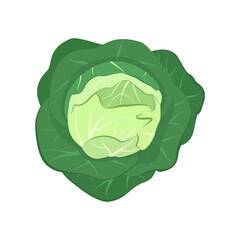 Cabbage icon. Food for a healthy diet. Natural product made from green vegetables, suitable for vegetarians. A source of vitamins