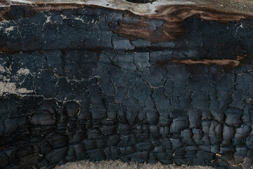 Burnt wood with sand texture