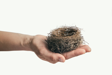 Bird's nest on a female palm. The concept of care, guardianship, adoption. On white background.