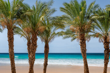 Paradise Sunny beach with palm trees and turquoise sea. Summer vacation and tropical beach concept.	