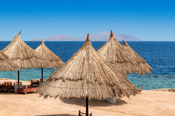Parasols on tropical coral beach resort in Red Sea, Egypt,  Africa.