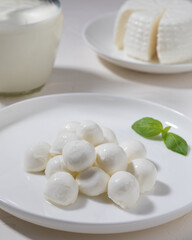 Mozzarella cheese with milk on white background.