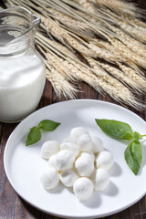 Mozzarella cheese with milk on wooden table. Rustic background.