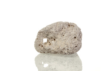 Fototapeta na wymiar macro mineral stone Pumice on a white background