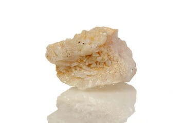 macro mineral stone Amphibolite in quartz on a white background