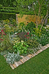 An impressive modern flower border with mixed planting