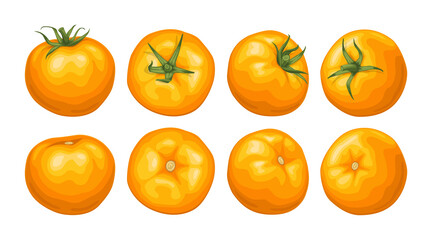 Set of yellow tomatoes. Fresh juicy tomatoes with a green sprig top view, side view.