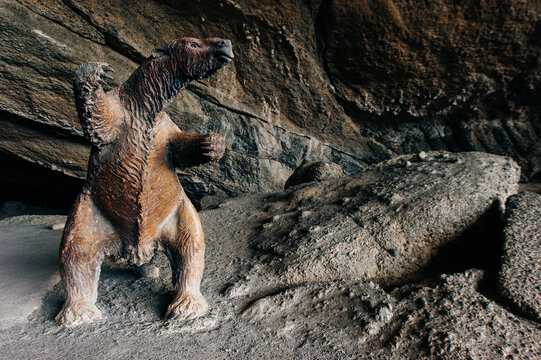 Mylodon-Bilder: Stock-Fotos & -Videos. | Adobe Stock
