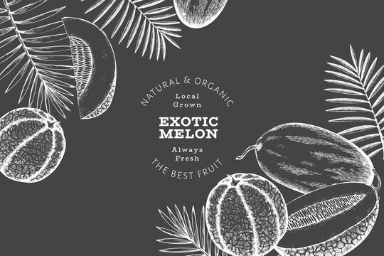 Melons with tropical leaves design template. Hand drawn vector exotic fruit illustration on chalk board. Retro style fruit banner. © lubovchipurko