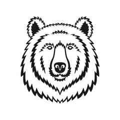 Bear isolated on white background.