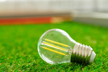 Energy efficient light bulb lying on grass
