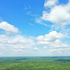 Obraz premium summer forest top view drone, background green trees panorama landscape