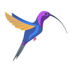 A bright multicolored hummingbird, a bird painted in several colors blue orange purple. Vector illustration isolated on white background.