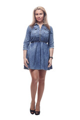 attractive young woman in a denim dress. isolated on a white background.