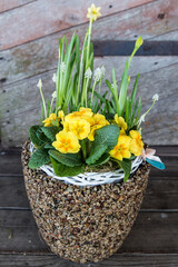 Flower vase made of pebbles