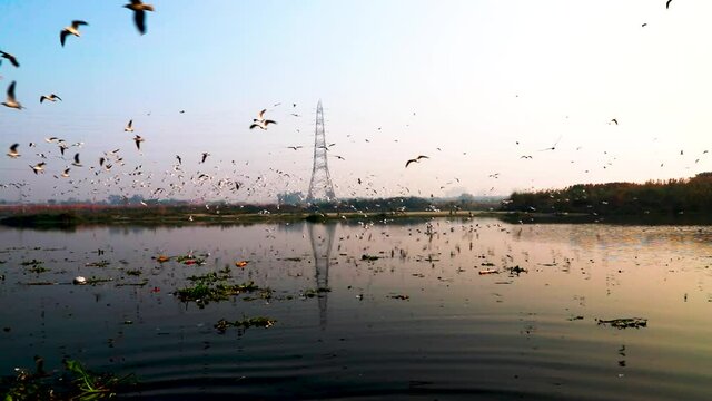 landscape view of yamuna ghat ,delhi,india.