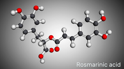 Rosmarinic acid, molecule. It is polyphenol, phenylpropanoid, monocarboxylic acid, non-steroidal anti-inflammatory drug, antioxidant, serine proteinase inhibitor. Molecular model