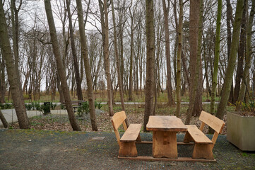 wooden benches and a table in the park