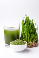 Green Barley Sprout grass and bowl of green detox powder isolated on white. Copyspace.