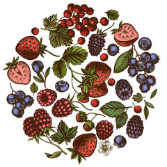 Round design with colored strawberry, blueberry, red currant, raspberry, blackberry