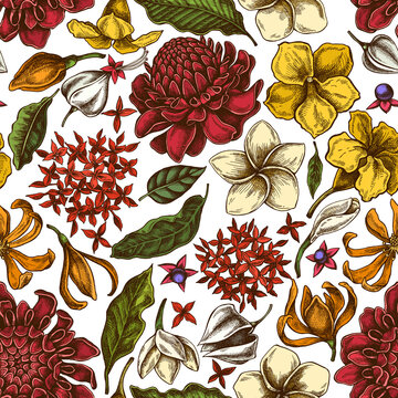 Seamless pattern with hand drawn colored plumeria, allamanda, clerodendrum, champak, etlingera, ixora