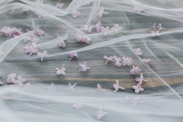 Beautiful lilac petals on soft tulle on dark wood, top view, copy space. Tender spring aesthetic