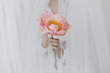 Sensual beautiful woman behind soft veil with pink peony in hands. Tender aesthetic bridal morning