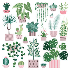 House Plants Cacti and Succulents Flower Pots