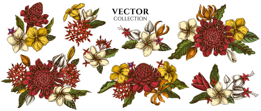 Flower bouquet of colored plumeria, allamanda, clerodendrum, champak, etlingera, ixora