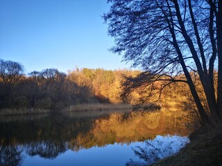 Teich in Attchenbach bei Wolfsburg-Unkeroda
