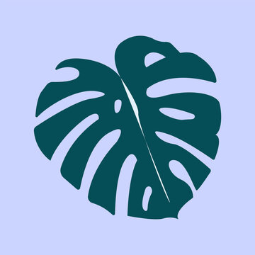 Monstera leaf. Isolated green monstera leaf in a flat style on a blue background. Icon, design element, sticker. Vector.