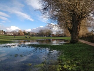 Spring flood in the park
