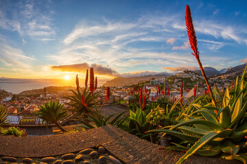 Funchal - Sonnenuntergang am Pico dos Barcelos 03 - obrazy, fototapety, plakaty