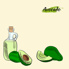 Vector hand drawn avocado and slices set.Avocado oil bottle sketch. Sketch of a whole avocado, sliced ​​and leaves. Botanical illustration of avocado. Juicy tropical fruits.