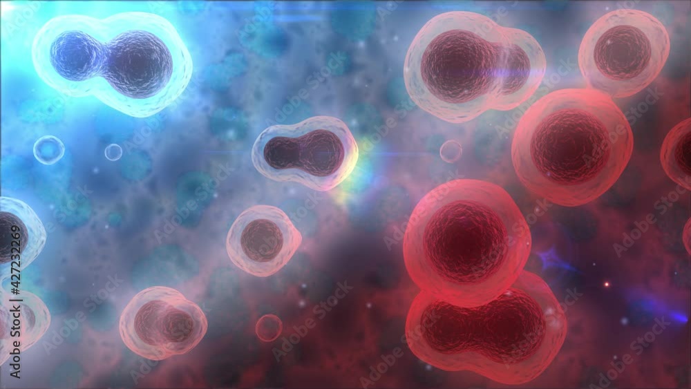 Poster abstract biological background, 3d loop animation of many cells in the body. animation for medical, 