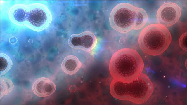 Abstract biological background, 3D loop animation of many cells in the body. Animation for medical, scientific, advertising, and educational purposes. Desktop background.